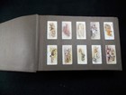 Lot Of 19 Sets Of Cigarette Cards Complete   Part Sets In Album