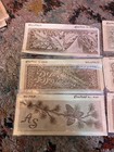 Vintage Craftaid Leather Carving Template Lot Of 15 Wallets  Belt  Animals
