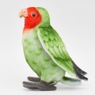 Can Be Bh7254 Hansa Lovebird 13 Realistic Animal Stuffed Toy