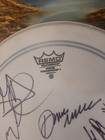 Signed Drumhead