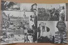 Concubines 1968 Press Kit K  ji Wakamatsu Tomoko Mayama Shikokyu Takashima