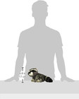    Adorable Miyoni   Raccoon Stuffed Animal - Lifelike Detail - Cherished Companio