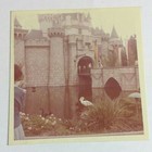 Vtg Early Disneyland Sleeping Beauty Castle Black Swan Kodak Photo Walt Disney 