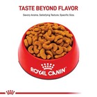 Royal Canin Breed Health Nutrition French Bulldog Adult Dog Dry Food