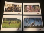 Universal    Jp Vintage Memorabilia Lot Jurassic Park   The Lost World  1993-1997 