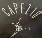 Capezio Dance Tote Bag W handles   Adjustable Strap Preowned 12 X 7 X 8 In