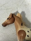 2000 Grand Champions Feed N Nuzzle Foal Baby Horse    moonshine    Appaloosa Spotted