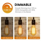 St58 Vintage Edison Led Light Bulb 8w 800lm Dimmable 2700k Warm White E26 60w Eq