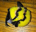 Steiff Yellow Fish With Brown Stripes Glass Eyes Vintage Mini Plush Stuffed