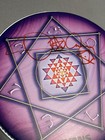 Danny Carey Signed Drumheads Orange   Purple Authentic Beat Tour 14 Inch Tool