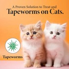 No More Tapeworms Dewormer For Cats   Kittens     3 Ml Dropper Treatment