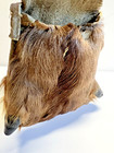Antique Native American Indian Deer Fur Dew Claw Bag With Strap  Late 19th Cent 