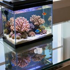 8 Pcs Hanging Wall Planter Acrylic Vase Aquarium Fish Food Feeder