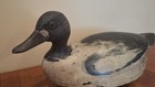 Vintage Hollow Goldeneye Drake Ontario   Toronto   St  Clair Flats Area