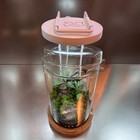 Ada Lab Wood Base Maru 95 With Light Wire Stand Aqua Design Amano