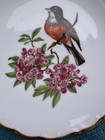 Bavarian Schumann Arzberg Antique Plate With Robin And Flowers