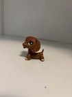 Littlest Pet Shop Lps  556 Valentines Day Daschund See Photos Major Flaws