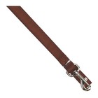 Zack And Zoey Basic 6-feet X 1-in Nylon Dog Lead Chocolate Brown
