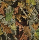 New Fall Leaves Water Transfer Hydrographic Film Activator Hydro Dip Combo