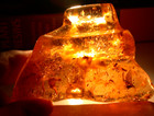 Fascinating Menagerie Lots To See In Colombian Copal Amber Fossil Giant 188 Gram