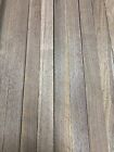 12 Boards  Black Walnut Lumber Cutting Board Wood Blank Kiln Dried 1 4   x 2   x 16   