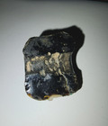 Beads   Scarce Antique Chinese Warring States Half Fragment