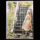 Rococo  Spice   Wolf Holo Fox Girl Cosplay Cd-rom Digital Doujin Photobook