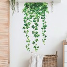 Green Vines Wall Decals Plants Stickers Art Murals Room Background Decor