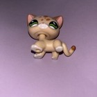 Littlest Pet Shop Lps Authentic  852 Leopard Shorthair Cat 2006 Hasbro
