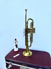 Vintage Trumpet Wind Instruments Trumpet Parrot Musical Instrument