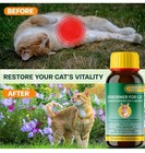 Cat   Kitten Dewormer For All Wormers  Pyrantel Pamoate  Roundworms   Hookwor   