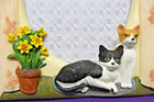 Kitty Cats   Flowers 3d Photo Frame Fits 4  X 6  Picture Resin Ec