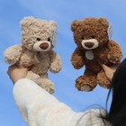 Biubiulove 10inch Teddy Bear Stuffed Animal  Soft 12inch  Dark Brown 