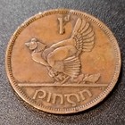 Ireland   ire 1962 1 Pingin Coin - Pheasant Obverse  Harp Reverse Bn