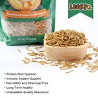 Bulk Dried Mealworms 30  Protein Non-gmo Wild Bird Chicken Fish Food Treats Lot