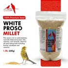 Morning Bird White Proso Millet For Bird Seeds  Healthy   Nutritious Pet Bird