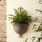 Vintage Wall Planters For Indoor Plants - Metal Wall Planter Holder  Half Round