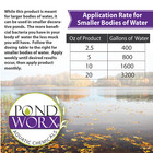 Pondworx Pond Bacteria - Formulated For Large Ponds  Water Features And Safe