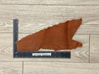Brown Genuine Shark Hide Skin Taxidermy Sharkskin Leather Exotic Fish Tanned 255