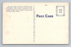 San Diego Ca-california  San Diego Zoo  Bears Vintage Souvenir Postcard