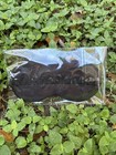 A24 Nicholas Cage Dream Scenario Eye Sleep Mask Movie Merch