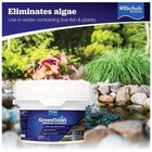 Greenclean Granular Algaecide - Algae Control 8 Lb  3002 8