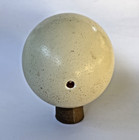 Blown Out Ostrich Egg Shell For Painting  Craft  Decor  Carving 15cm Tall Easter