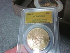 1889-s Pcgs Ms62 Saddle Ridge Hoard  20 Gold Coin W coa Collector s Box Rare
