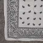Vtg White Paisley Rn  13960 Colorfast Cotton Western Biker Bandana Handkerchief