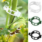 100x Plant Support Garden Clips Tomato Clips Support trellis Clips For Vegetable