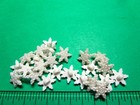  24  3 8  Snowflake White Plastic Realistic Craft Embellishment Shank Buttons