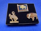 Wyoming State Flag Enamel Pin Set Of 3 Lapel Collectibles Cowboy Flag Buffalo