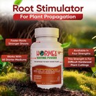 Hormex Rooting Powder  16 - For Difficult To Root Woody Plants - 1 6  Iba