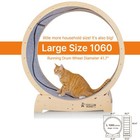 Star Cat Wheel  Cat Treadmill  Exercise Wheel For Running  Spinning  Scratchi   
